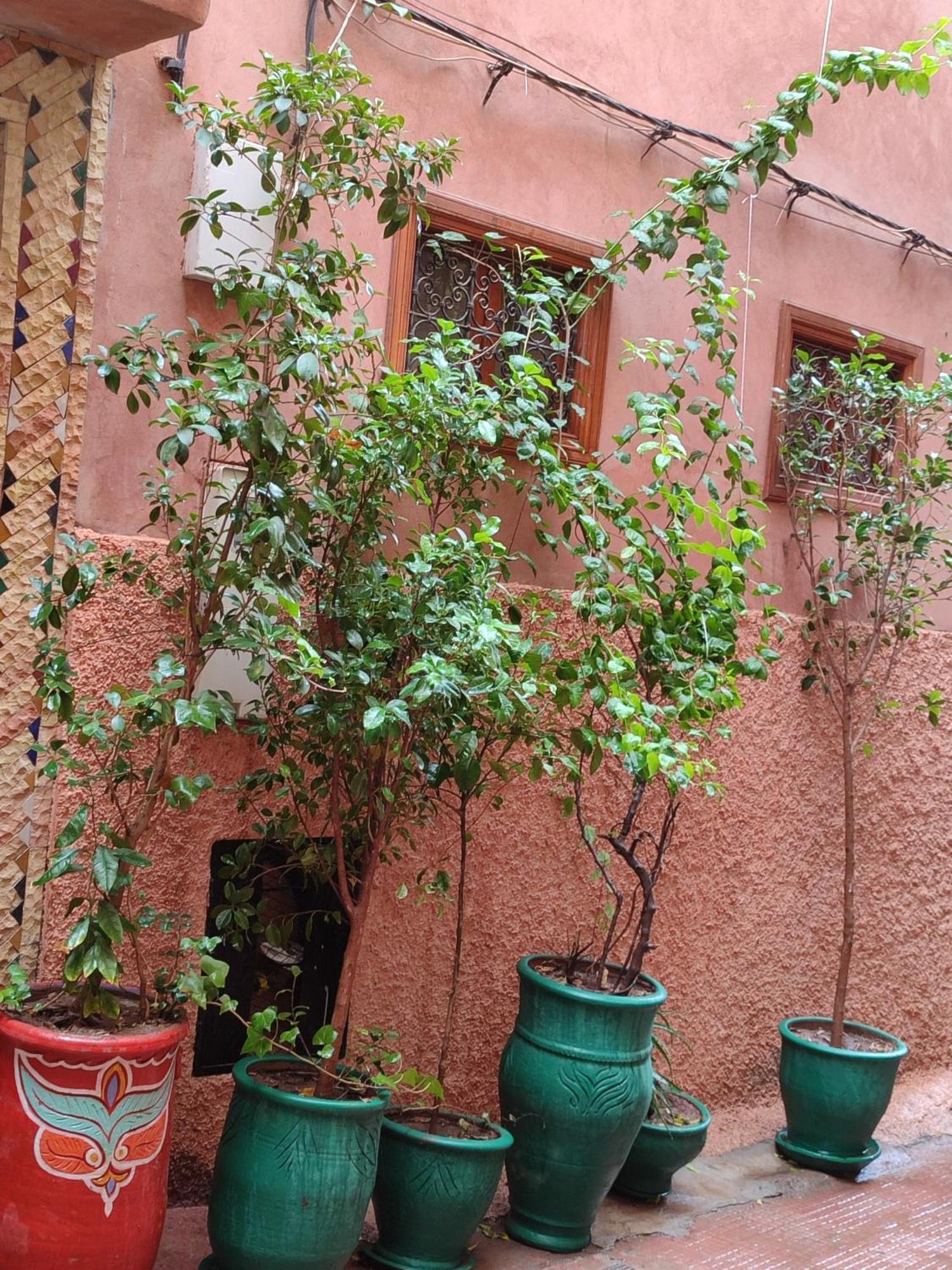 Riad Zahri Marrakesz Zewnętrze zdjęcie